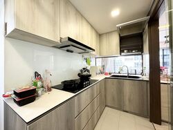 Ecopolitan (D19), Condominium #518827861